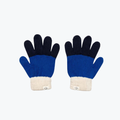 Gants Bleu - Chamaye