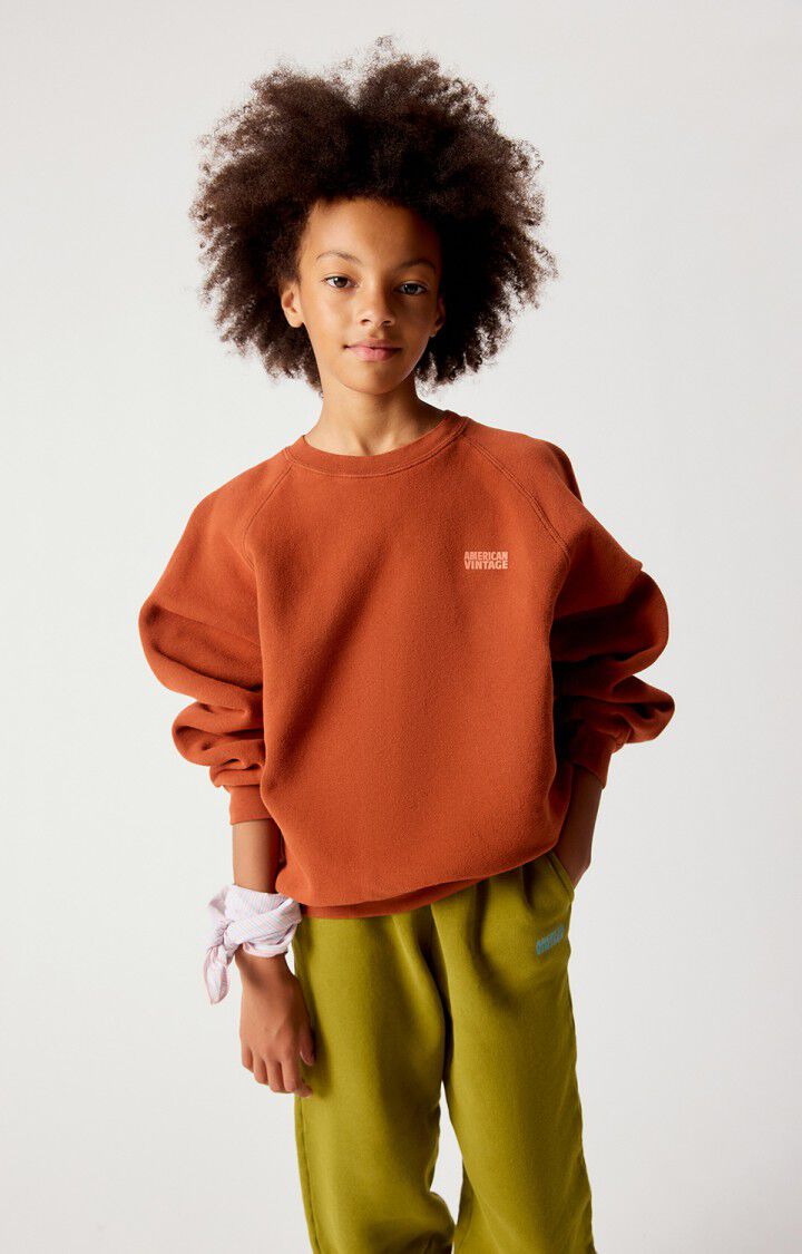 Sweat Izubird - Cannelle Vintage - American Vintage