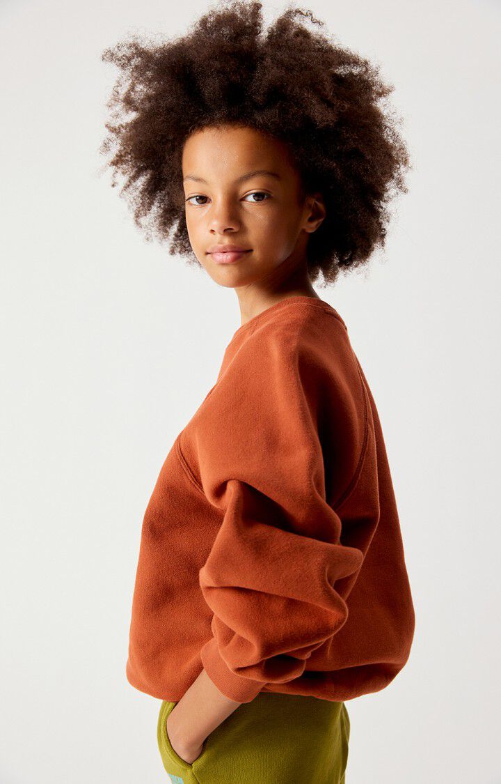 Sweat Izubird - Cannelle Vintage - American Vintage
