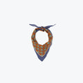 Petit Foulard Marron - Arsène et les Pipelettes