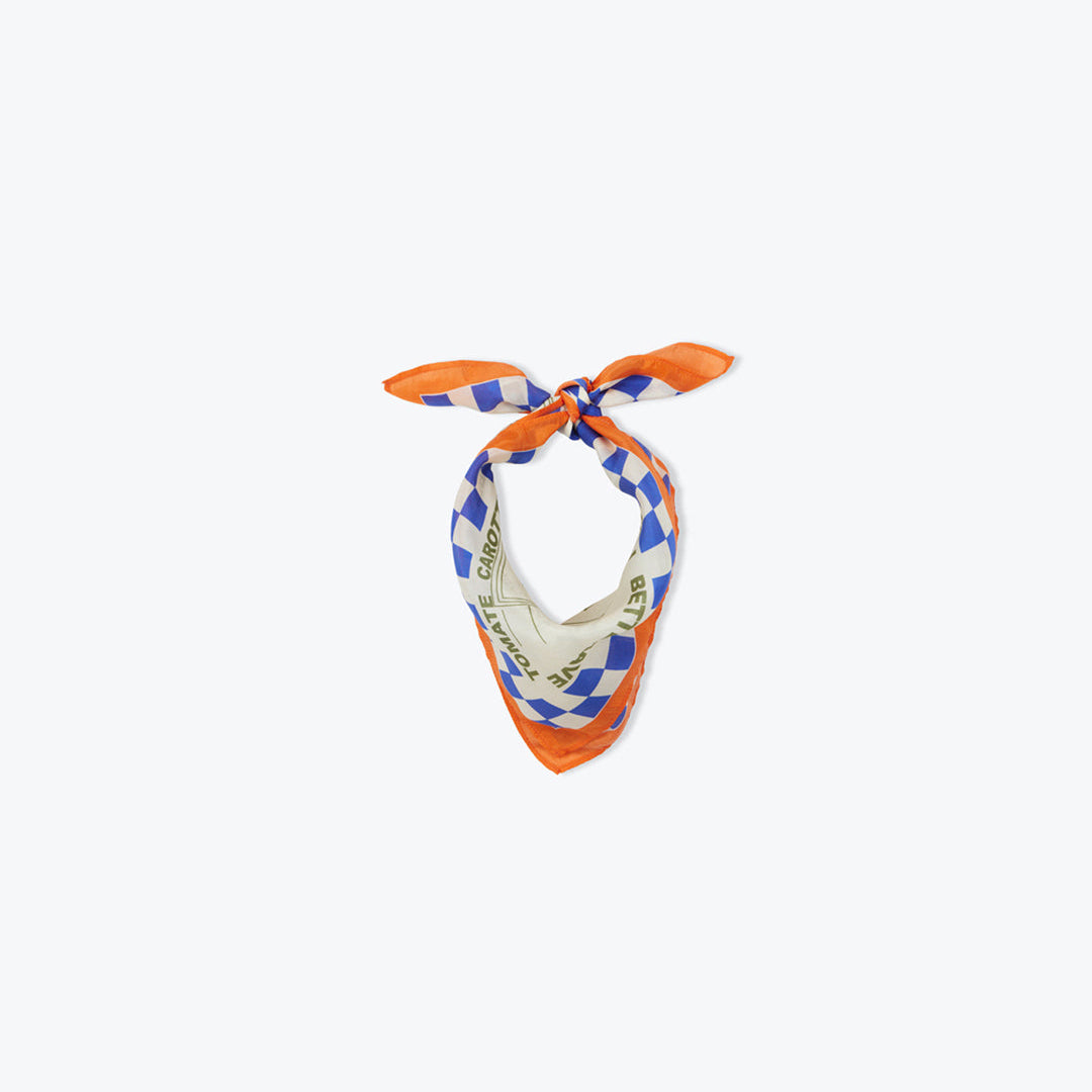 Foulard Superette - Arsène et les Pipelettes